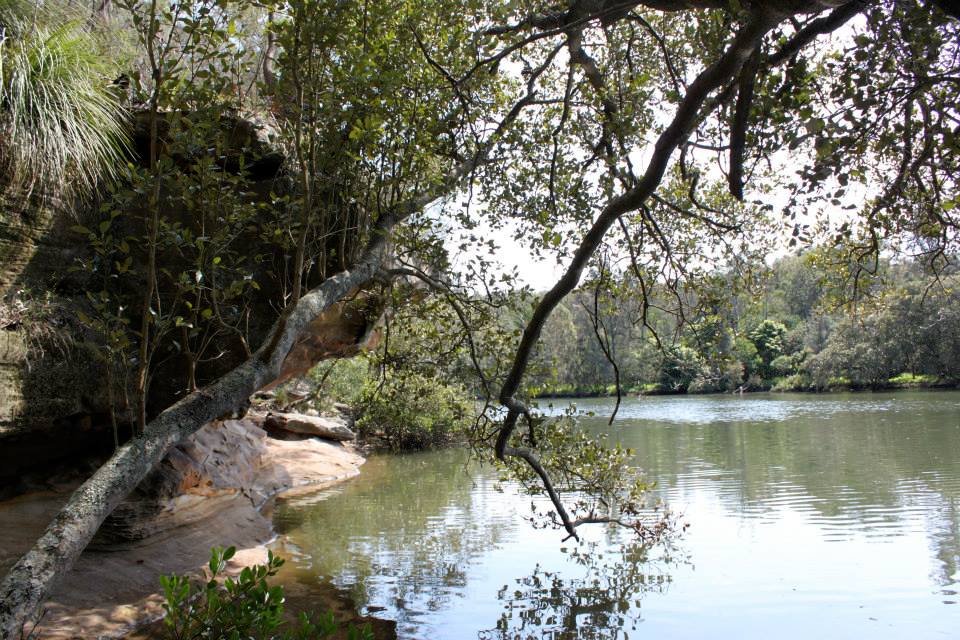 557476_544849982236767_866677014_n 557476_544849982236767_866677014_n